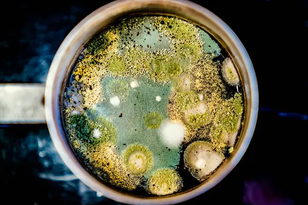コーヒーカップの金型のトップビュー ストック画像