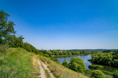 Bahar nehri, çimenler, çalılar, ağaçlar. Doğa manzarası
