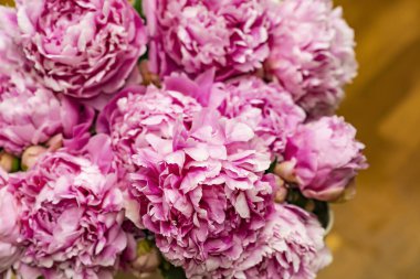 Pembe şakayıkların makro çekimi, arka plan için çiçek dokusu 