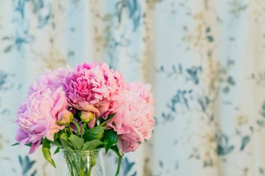 Renkli perde arkaplanındaki vazolarda pembe şakayıklar ve tomurcuklar 