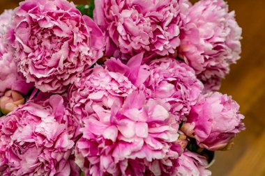 Güzel pembe şakayık çiçeklerini kapatın. 