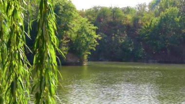 Ağaçlar ve nehirlerle dolu güzel doğa manzarası