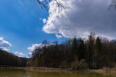 Çamurlu suyla çevrili orman gölü kuru çimenler ve bulutlu bir gökyüzünün altında ağaçlarla çevrili. Su yüzeyinde yansımaları olan doğa manzarası. Tasarım ve baskı için sakin bir açık hava manzarası