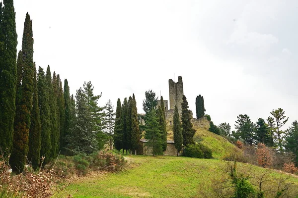 Замок Ромена Муніципалітеті Пратовеккіо Тоскана Італія — стокове фото