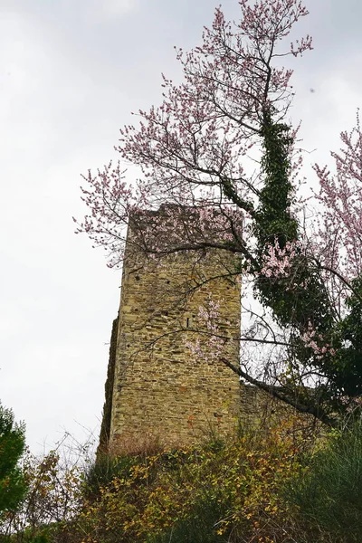 Castle Romena Municipality Pratovecchio Tuscany Italy — Stock Photo, Image