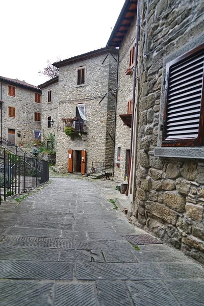Blick Auf Das Mittelalterliche Dorf Raggiolo Toskana Italien — Stockfoto
