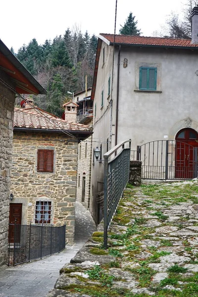 Vislumbre Antiga Aldeia Medieval Raggiolo Toscana Itália — Fotografia de Stock