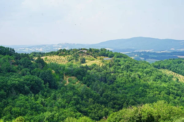 Panorama Över Landsbygden Runt Chiusdino Toscana Italien — Stockfoto