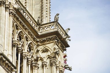 ayrıntı Katedrali notre Dame de paris, Fransa