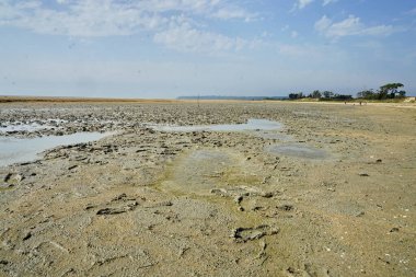Fransa, Normandiya 'daki Genets plajı