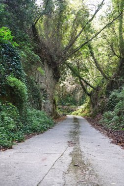 Aspromonte, Calabria, İtalya 'daki toprak yol