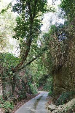 Aspromonte, Calabria, İtalya 'daki toprak yol