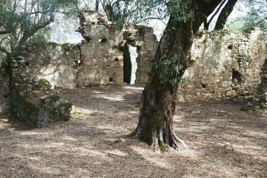 İtalya, Calabria, Aspromonte 'deki terk edilmiş ortaçağ köyü Oppido Vecchia' nın kalıntıları.