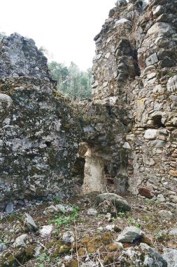 İtalya, Calabria, Aspromonte 'deki terk edilmiş ortaçağ köyü Oppido Vecchia' nın kalıntıları.