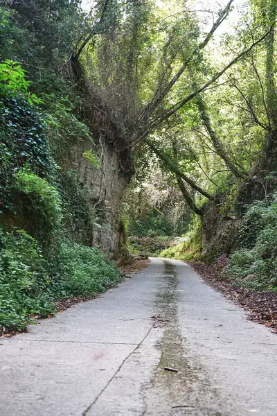 Aspromonte, Calabria, İtalya 'daki toprak yol