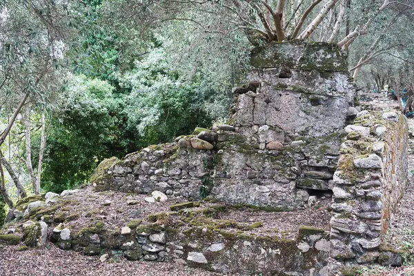 İtalya, Calabria, Aspromonte 'deki terk edilmiş ortaçağ köyü Oppido Vecchia' nın kalıntıları.