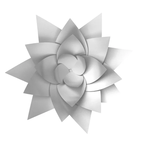 Silberblume Blume Illustration — Stockfoto