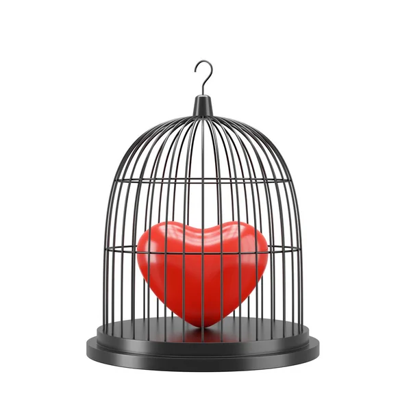 Heart Cage Rendering — Stock Photo, Image