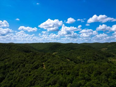 Bulutlu bir yaz gününde orman manzarası