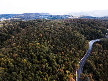 Bulutlu bir yaz gününde orman manzarası