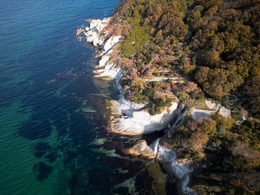 Sonbahar günü kayalıkları olan harika sahil manzarası.