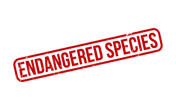 Опасные виды резиновых гранжевых тюленей