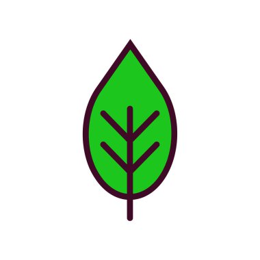 Yaprak Simgesi Vektör İllüstrasyonu. Yaprak Çizgisi Renk Simgesi