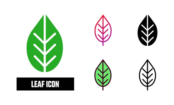 Leaf Ikonuppsättning Vektorillustration — Stock vektor