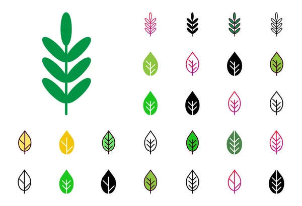 Leaf Icon Set Vector Illustration — Stock Vector