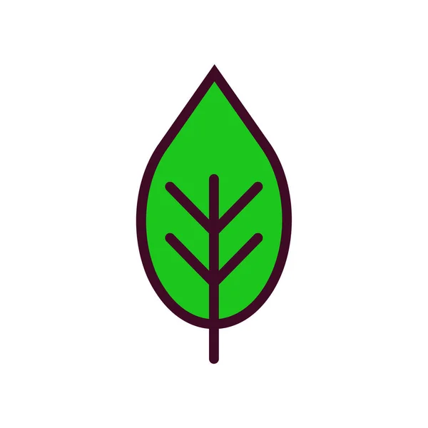 Икона Вектор Линейный Цвет Leaf — стоковый вектор
