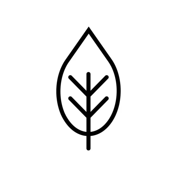 Leaf Lineal Icon Symbol Vector Ikon Daun Garis Luar Hitam - Stok Vektor