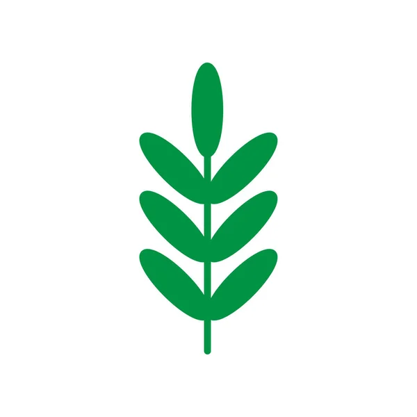 Flat Leaf Icon Symbol Vector Illustration — Stock Vector