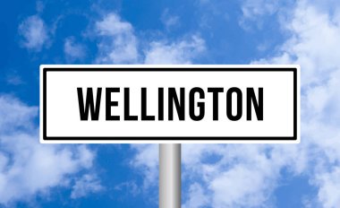 Bulutlu arkaplanda Wellington yol tabelası
