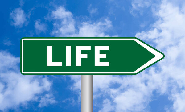 Life road sign on blue sky background