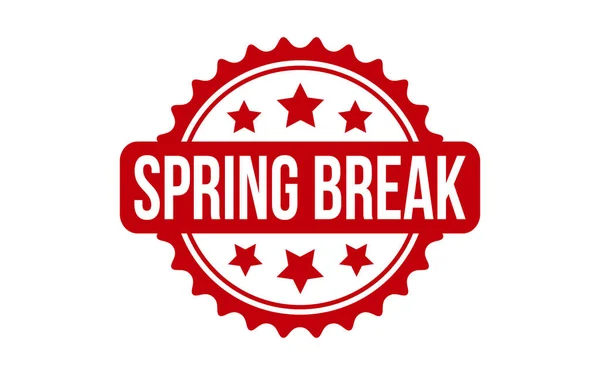 Spring Break Rubber Grunge Stempel Zegel Vector — Stockvector