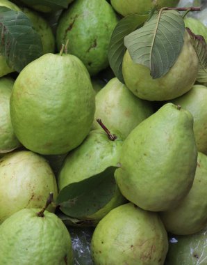 Taze yeşil guava arka planı. Sağlıklı guava meyveleri