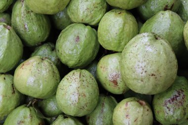 Taze yeşil guava arka planı. Sağlıklı guava meyveleri