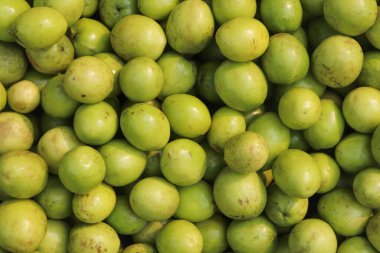 Taze ve lezzetli Hint jujube meyveleri, Jujube özgeçmişi.