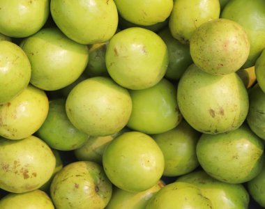 Jujube geçmişi. Taze ve lezzetli Hint jujube meyveleri, Çin tarihi