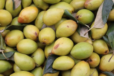 Dükkanda bir sürü lezzetli Hint jujube meyvesi var.