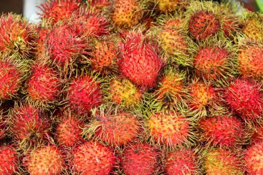 Rambutan geçmişleri. Piyasada taze sağlıklı Rambutan meyveleri