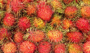 Rambutan geçmişleri. Piyasada sağlıklı rambutan meyveleri