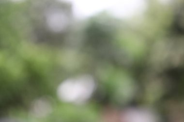 Soyut Görüntü Arkaplanı, Doğa Bulanıklığı 