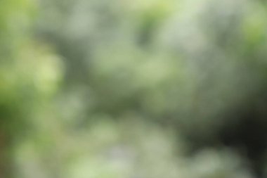 Soyut Görüntü Arkaplanı, Doğa Bulanıklığı 