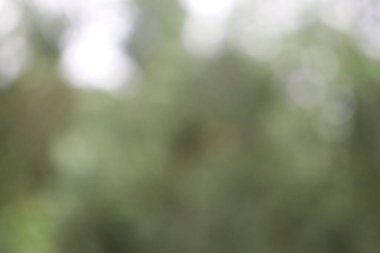 Soyut Görüntü Arkaplanı, Doğa Bulanıklığı 