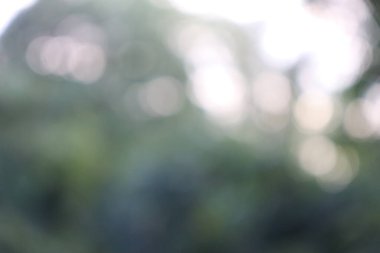 Soyut Görüntü Arkaplanı, Doğa Bulanıklığı 