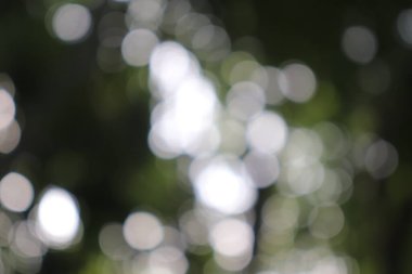 Soyut Görüntü Arkaplanı, Doğa Bulanıklığı 