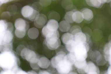 Soyut Görüntü Arkaplanı, Doğa Bulanıklığı 