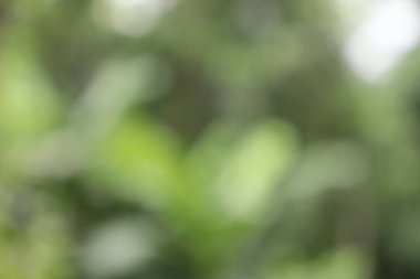 Soyut Görüntü Arkaplanı, Doğa Bulanıklığı 