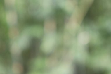 Soyut Görüntü Arkaplanı, Doğa Bulanıklığı 